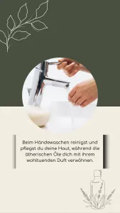 Flüssigseife Zitronen-Eukalyptus